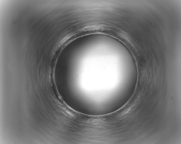 X0000065960778200603101421