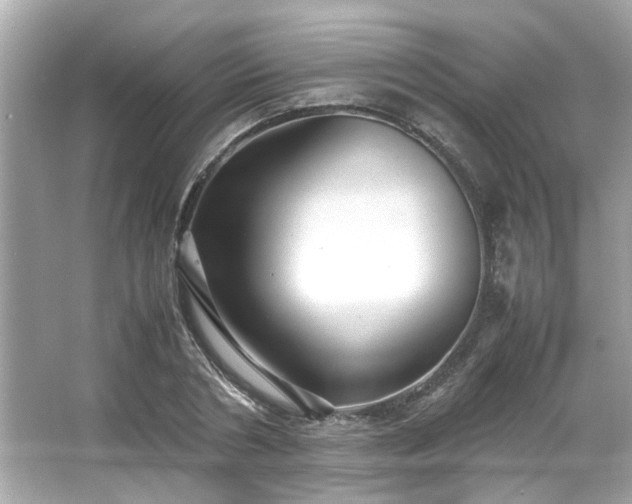 X0000065960786200603101421