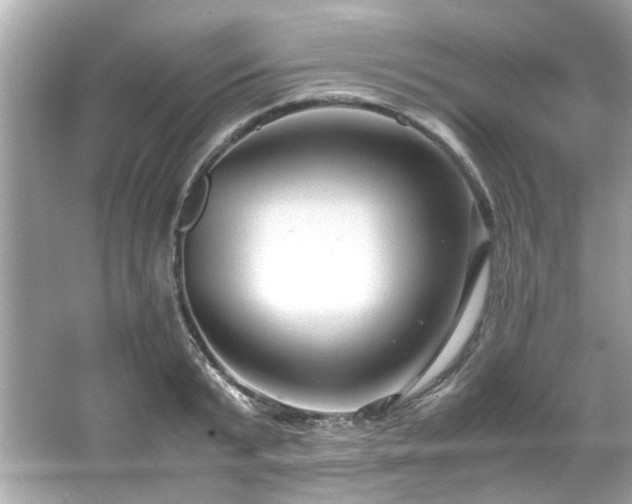 X0000065960799200603101421