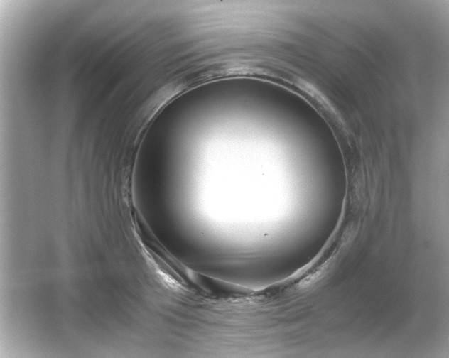 X0000065960801200603101421