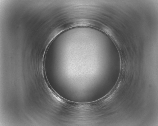 X0000065960802200603101421