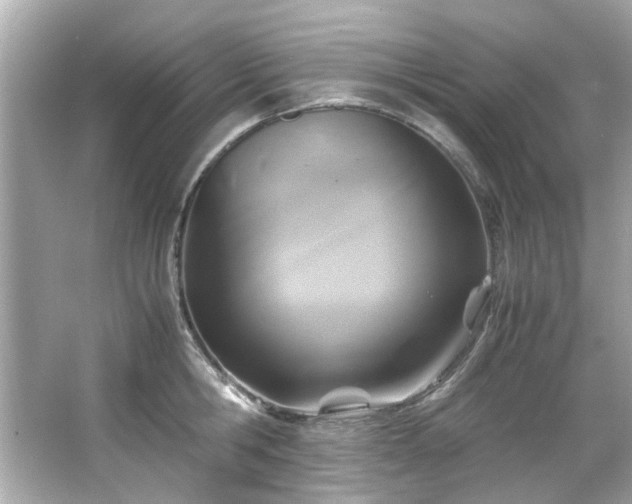 X0000065960806200603101420