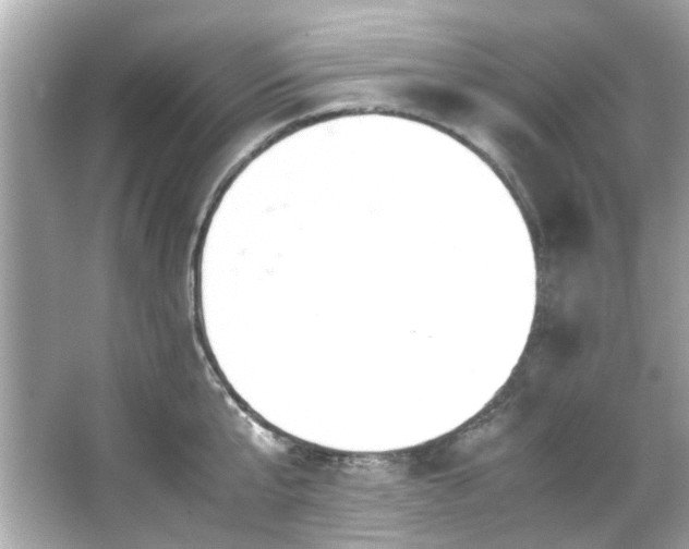 X0000065960807200603101420