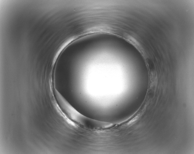 X0000065960812200603101420