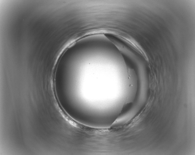 X0000065960813200603101420