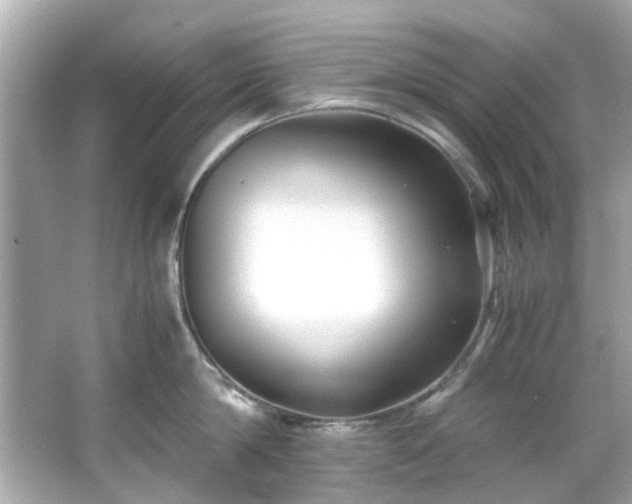 X0000065960814200603101420