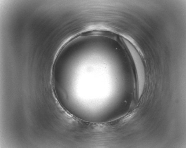X0000065960815200603101420