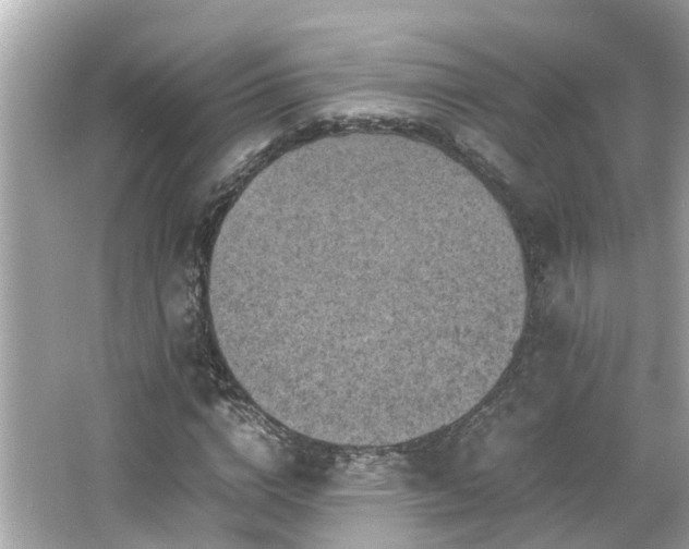 X0000065960824200603101420