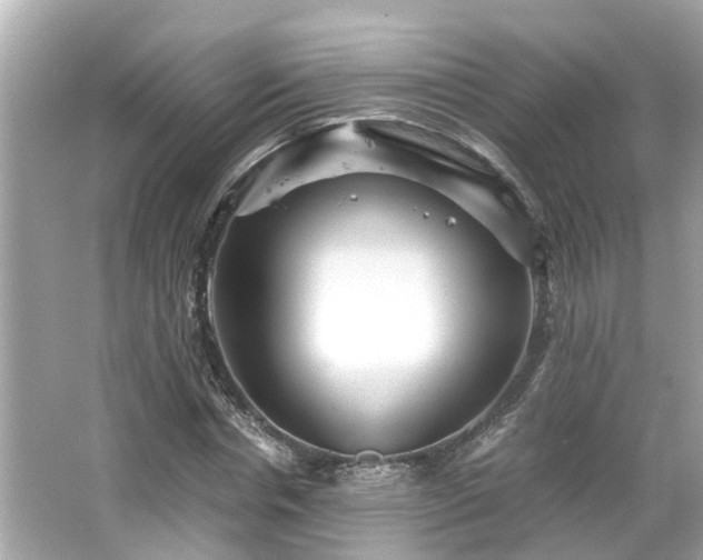 X0000065960826200603101420