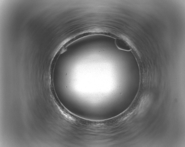 X0000065960837200603101420