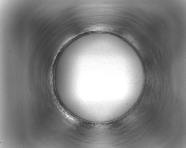 X0000065960848200603101420