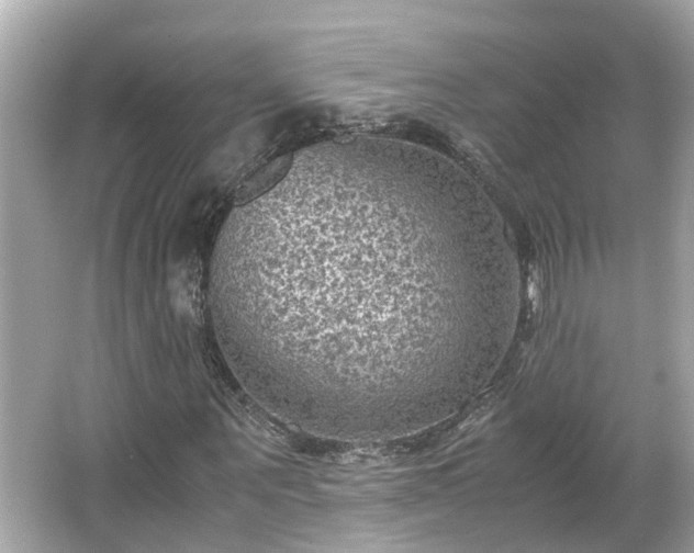 X0000065960867200603101419