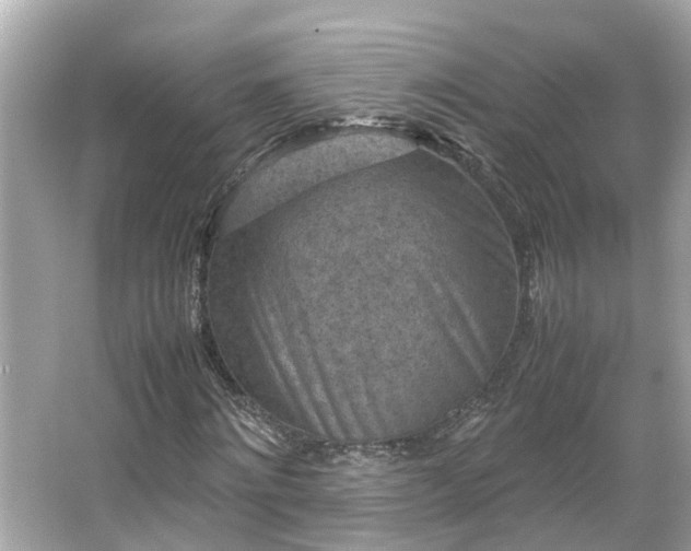 X0000065960868200603101419