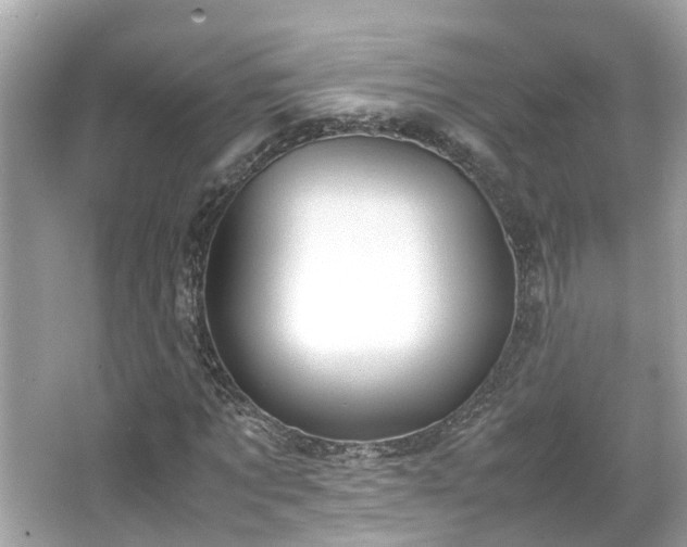 X0000065960869200603101419