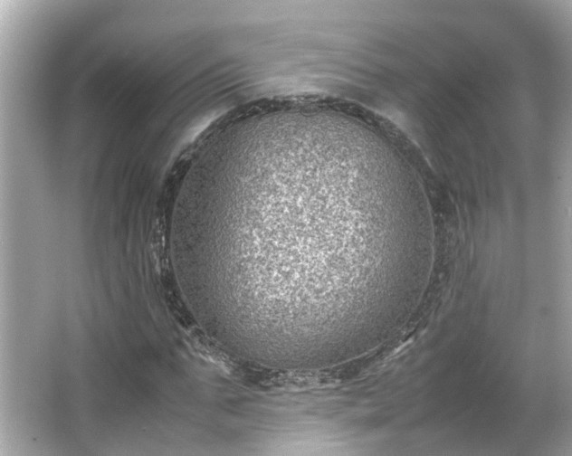 X0000065960871200603101419