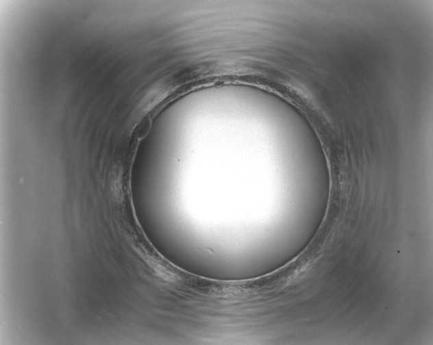 X0000065960873200603101419