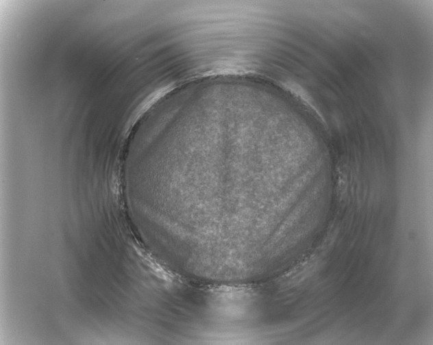 X0000065960874200603101419