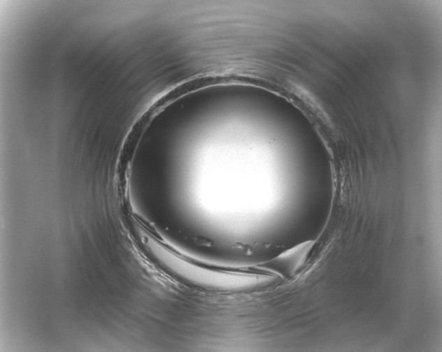 X0000065960876200603101419