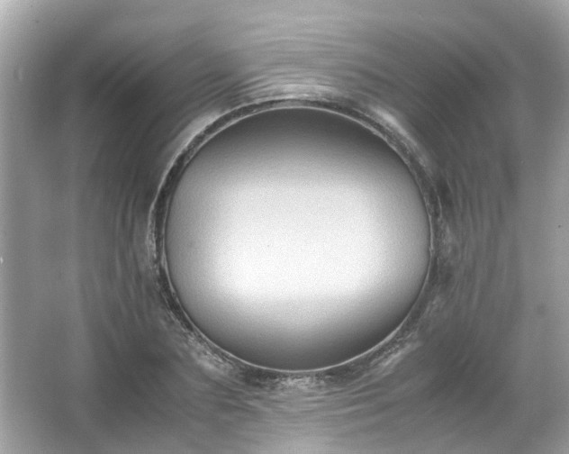 X0000065960883200603101419