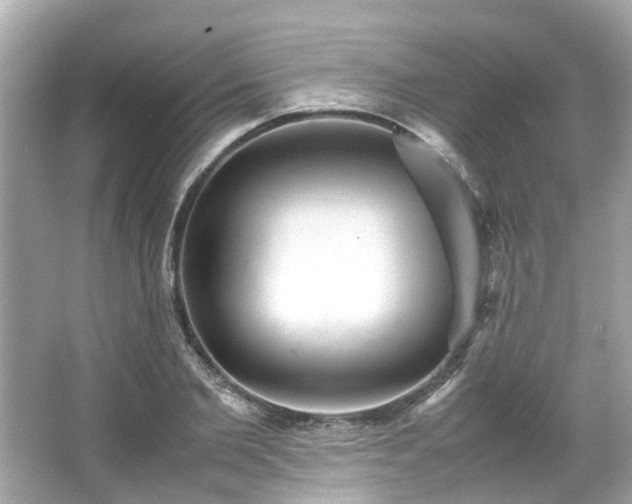X0000065960885200603101419