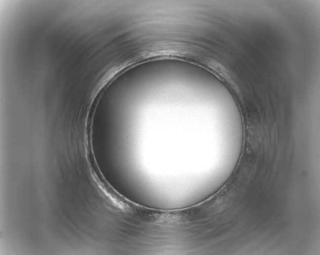 X0000065960890200603101419