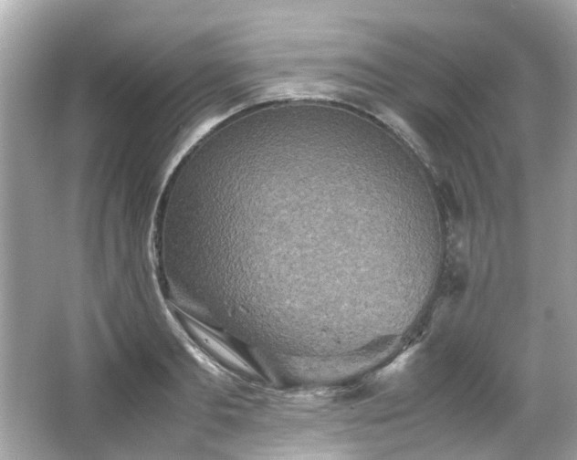 X0000065960893200603101419