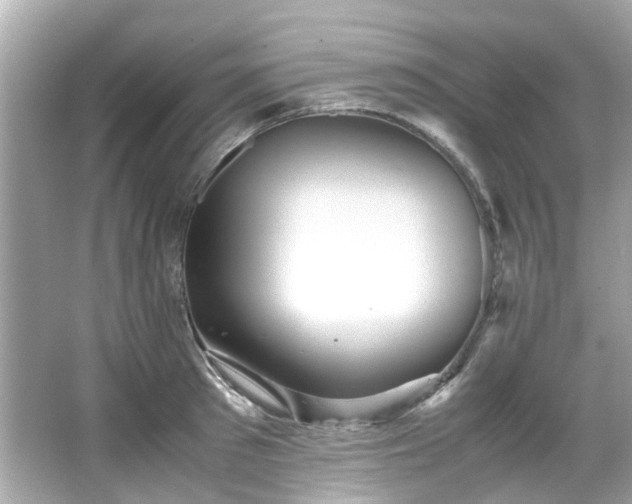 X0000065960897200603101419