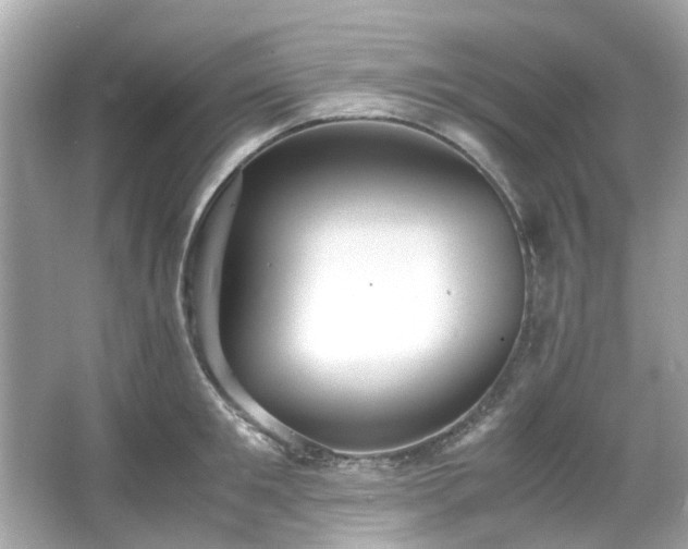 X0000065960901200603101419