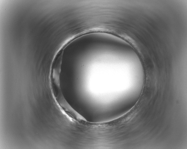 X0000065960902200603101419