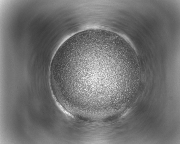 X0000065960903200603101419