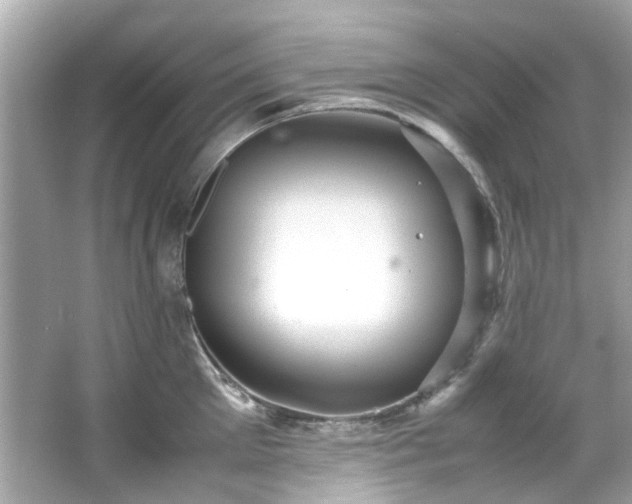 X0000065960905200603101419