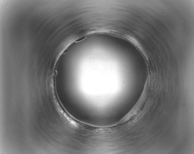 X0000065960906200603101419