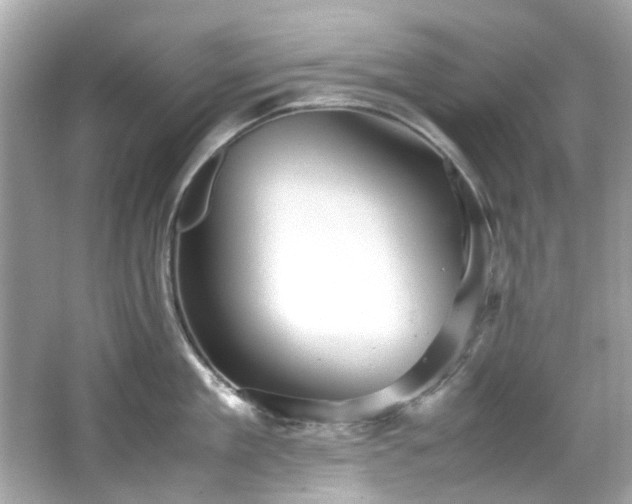 X0000065960909200603101419