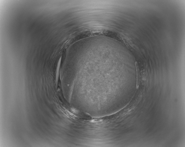 X0000065960916200603101418