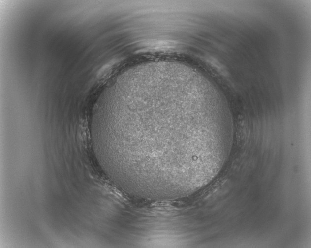 X0000065960918200603101418