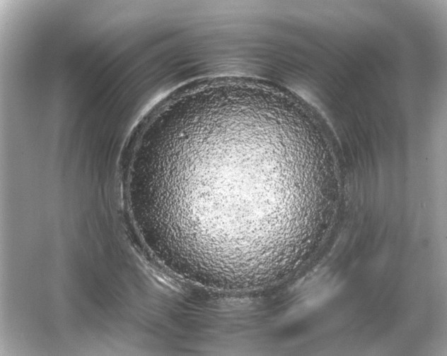 X0000065960925200603101418