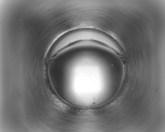 X0000065960926200603101418