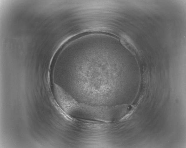 X0000065960932200603101418