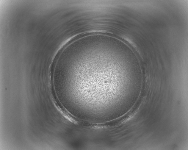 X0000065960933200603101418