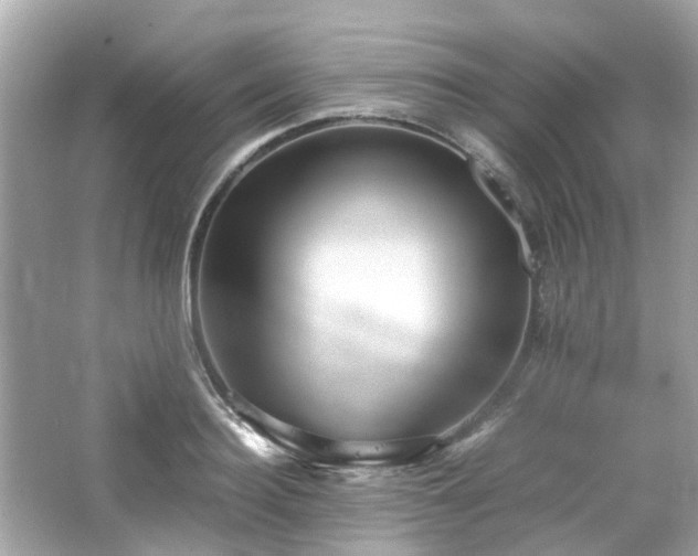 X0000065960940200603101418