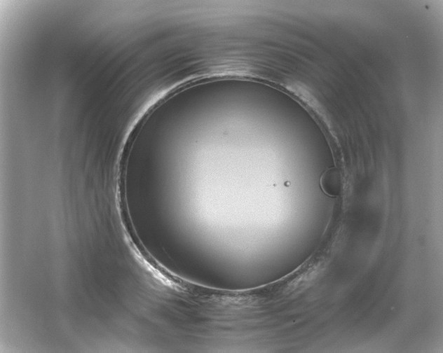 X0000065960941200603101418