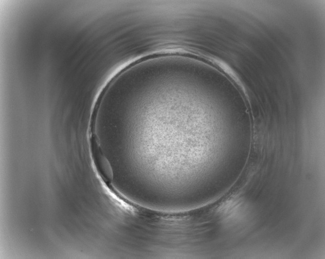 X0000065960951200603101418