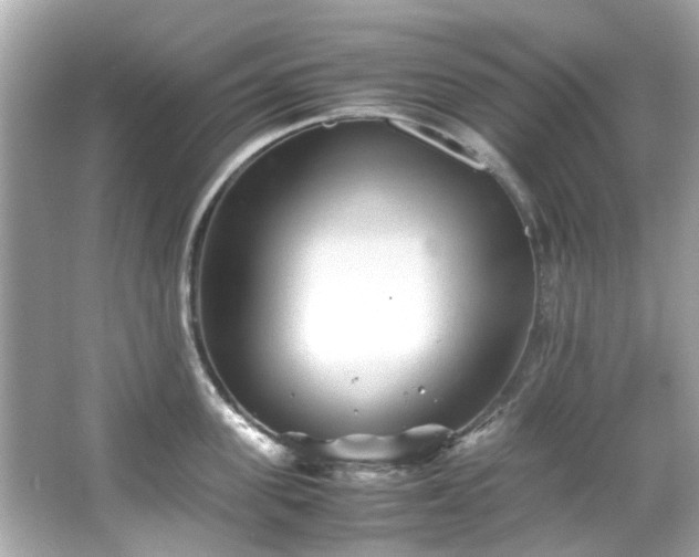 X0000065960955200603101419