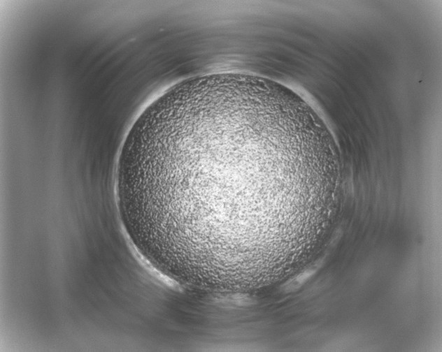 X0000065960957200603101419