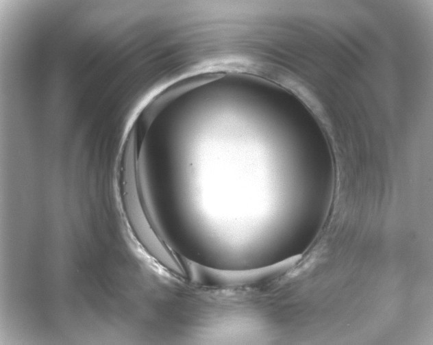 X0000065960960200603101419