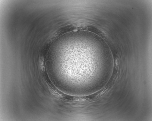 X0000065960963200603101418