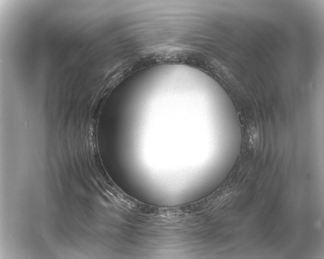 X0000065960964200603101418