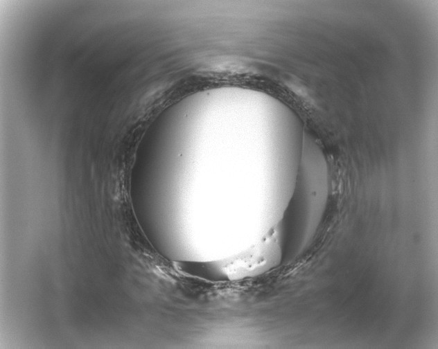 X0000065960965200603101418