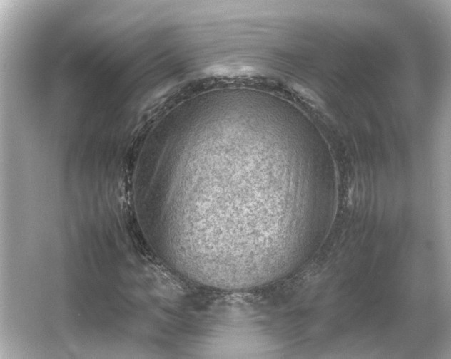 X0000065960966200603101418