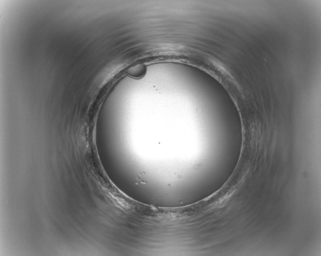 X0000065960970200603101418